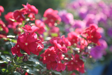 seaside town and fishing boats