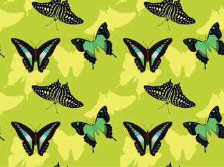 Butterfly Set Graphium Background Seamless Wallpaper