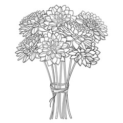 Bouquet of outline Dahlia or Dalia flower in black isolated on white background.