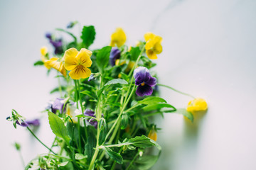 edible violets on marble background with copy space