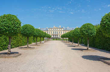 Tree alley in summer leads to beautiful palace