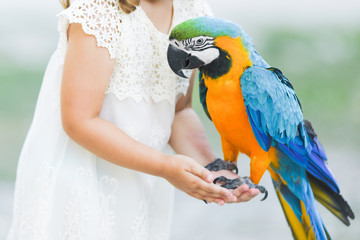 Making photo of exotic animals. Little girl with macaw parrot