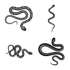 Isolated object of harm and bite logo. Collection of harm and reptile vector icon for stock.