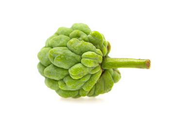 Macro image of custard tree green fruit isolated at white background.
