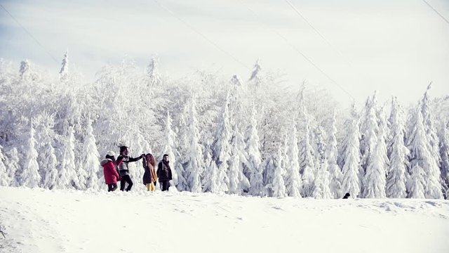 A group of young friends on a walk outdoors in snow in winter forest, talking.