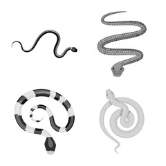 Vector illustration of harm and bite sign. Collection of harm and reptile stock vector illustration.