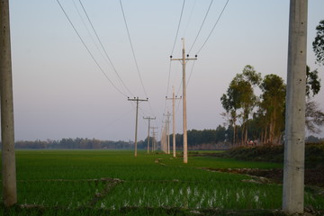 electric power line in a field