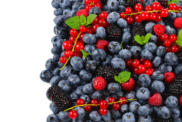 Blackberry, raspberry, blueberry,  red currant and mint background.