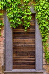 Background with wooden door and ivy twigs