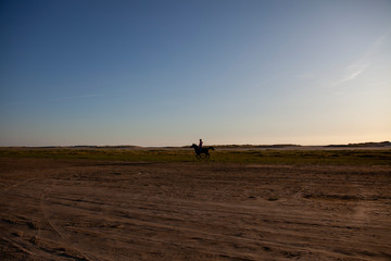 Fototapeta na wymiar Horse riding at Rømø beach Denmark