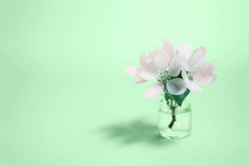 Spa natural cosmetic concept. Mint background.