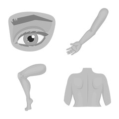 Vector illustration of body and part symbol. Collection of body and anatomy stock vector illustration.