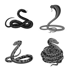 Isolated object of harm and bite symbol. Set of harm and reptile stock symbol for web.