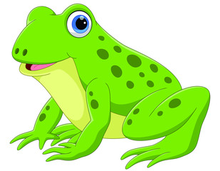 Vector illustration of cute frog cartoon isolated on white background