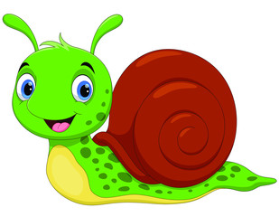 Vector illustration of cute snail cartoon isolated on white background © irwanjos
