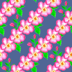 pattern pink rose hips. Roses seamless pattern. Watercolor.