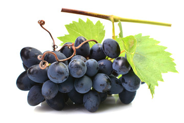 Grapes on a white background