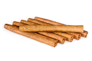 Six tobacco cigarillos isolated on white background without shadow. Closeup, high resolution.