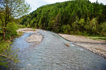 Amazing landscape with high Carpathian mountains, beautiful curving river with green forest.