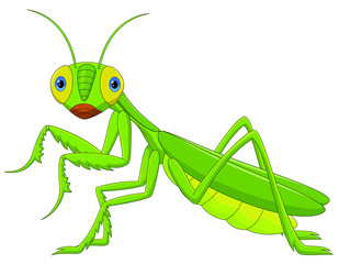 Cute grasshopper cartoon - Green Mantis