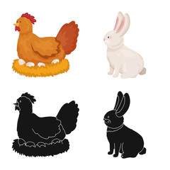 Vector illustration of breeding and kitchen symbol. Set of breeding and organic vector icon for stock.