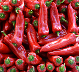 fresh and organic red chillies in market