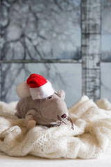 Christmas. 2020 symbol. Rat in a Santa hat on the windowsill at the window on a winter evening