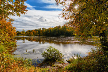 Autumn landscape on a forest lake