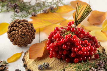 Viburnum, cones and sprigs of spruce and autumn yellow leaves on a white wooden table. autumn composition