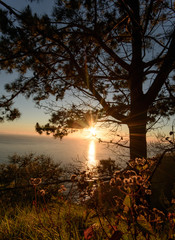 Naklejka premium Wide angle shot: Traveling on the beautiful island Madeira: View of beautiful mountains and ocean on southern coast with evening sunset light, Portugal, Europe.