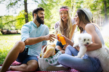 Happy group of friends relaxing and having fun on picnic in nature