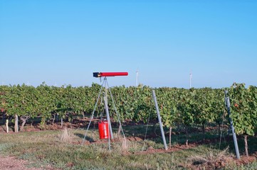 vineyard bird protection. Carousel Gas Gun for deterring birds in vineyard. Using Propane-Fired Cannons to Keep Birds Away From Vineyards. bird scarers. Bird Scaring Devices in germany, rhineland