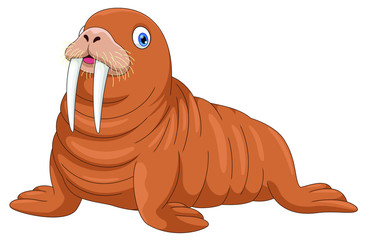 Vector illustration. Cartoon walrus isolated on white background