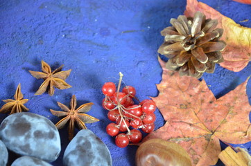 Autumn harvest, grapes, autumn fallen leaves, apples, plums, cinnamon, anise. wild grapes in autumn in the rain