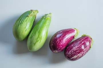 茄子　トロナス（緑）とゼブラナス（紫）