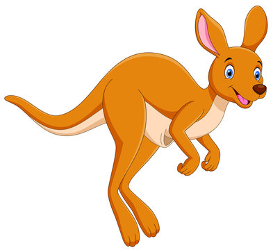 Vector illustrator Jumping kangaroo cartoon isolated on white background
