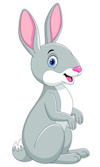 Fototapeta na wymiar Vector illustration of Cute little bunny isolated on white background