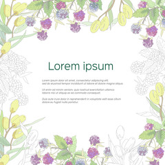 Vector frame for text. Edible forest berries raspberries and olive trees against white background. Contour black and white sketch and bright realistic coloring.