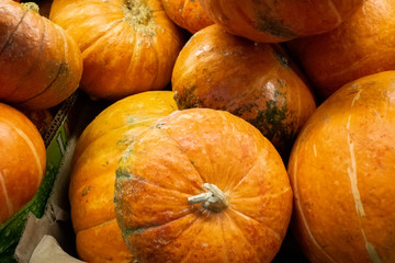 pumpkin closeup background selling in the store