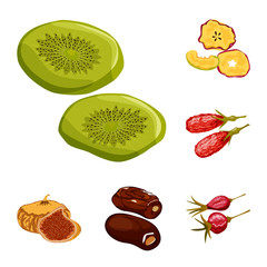Vector design of fruit and dried icon. Collection of fruit and food vector icon for stock.