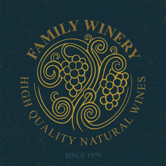 Grape. Hand drawn grape and vine engraving style illustrations set. Bunch of grapes vector design element. Grape and vine logo and background. Wine theme grape and vine vintage style ornament. Part of