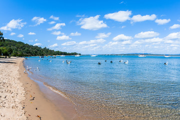 River Lagoon Boats Yachts Birds 1770