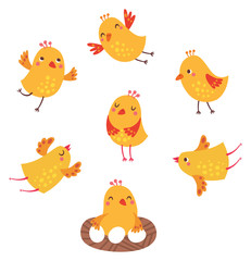 cute birds vector set