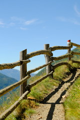 Naklejka premium Höhenweg Bergweg Südtirol