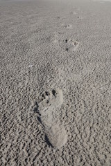 Spuren im Sand