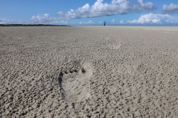 Spuren im Sand