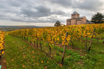 Fototapeta na wymiar Parish church Johannisberg with autumnal coloured vinyards