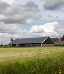 Fototapeta na wymiar Modern Dutch cattle stable. Farming