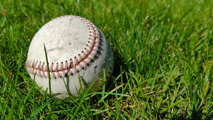 White old baseball ball on fresh green grass with copy space closeup. American sports baseball game.