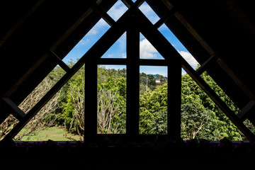 Beautiful view of nature through a backlit sale.